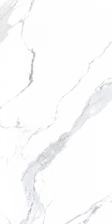 Carrara polaris glossy 600x1200 мм  