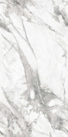 338029_main