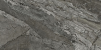 452824_2481213_bg