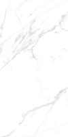 397249_main