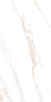 1f31cbef_b05f_4b50_a652_62714d7d9c58_587ccaf9_c01d_11ee_b80e_0050568dfd52.resize1