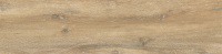 WN4T013_1