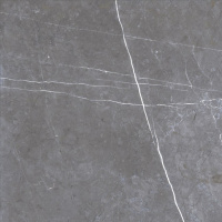 grs05-05simbel-grizzly600x600face1-645x645