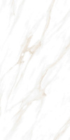 397269_main