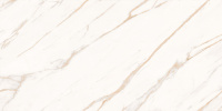 f2e93d85_d52c_4139_a18e_570b9fea8eee_4ceea312_56fd_11ee_b7fe_0050568d5941.resize1