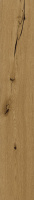 Natura_Nat_20h120_small