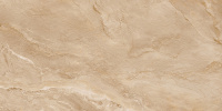 452769_2480411_bg