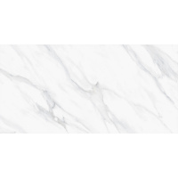 Swizer White Polished 600х1200