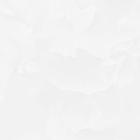 6060ICO00P_01