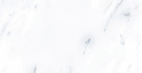 G283MR_600h1200