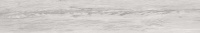 40c6f658983cd2ae25021706a8413fd2