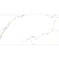 ARISTON CLASSIC_SATIN_120х60-01