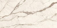 SilverRoot