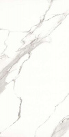 258423_main