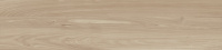 GP2090DEN11R_01