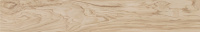 natura-oliva_1200x195_01