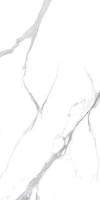397285_main