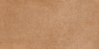 scorpia-1200x600-brown
