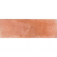 JAZZ_CORAL_site