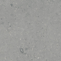 G213-Arkaim-Grey_1
