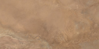452812_2481126_bg