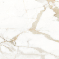 961cfe3b_3f5f_48ab_9666_34a255b6b474_5b49f60d_6b69_11ef_b093_48df37e4f8cb.resize1