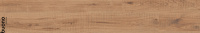 Forest-Brown-Matt-F4502M-_1_