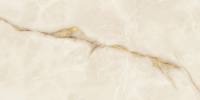 ACR_Symphonyx_Gold_60x120_Polished_10015000641_14