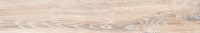 BG00_194h1200