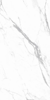 397323_main