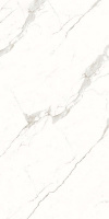 234154_main
