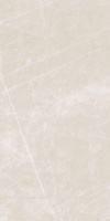 242331_main