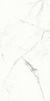 242332_main