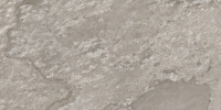SHS4446M-_F1_