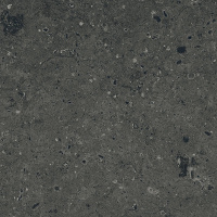 G215-Arkaim-Black_1