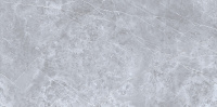 Pulpis-Grey_face1