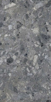 263803_main