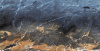 355854_main