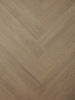 Pine_401_1_