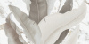 6xtt2bkop7kefp84q3ui83wvnyy4r1jw