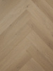 Pine_202_