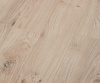 SF103_4