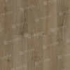 1004_701_panno