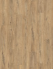 egger-epl-190-1