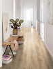 egger-epl-035-3
