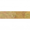 TROPICANA_CANARY_site