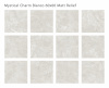 MYSTICAL_CHARM_BIANCO_60x60_Matt_Relief_all