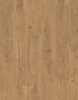 egger-epl-122-1