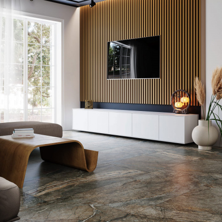 silver_rut