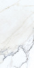 A16881_1